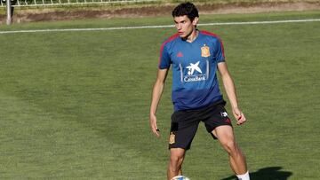 Vallejo: "No me he planteado la cesi車n; quiero quedarme"