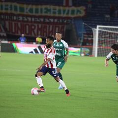 Qué necesitan Junior, Cali y Alianza para clasificar a los cuadrangulares semifinales de la Liga BetPlay