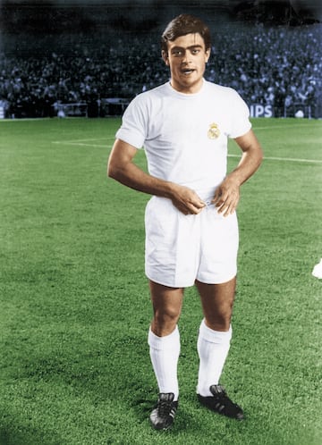 Jug車 tres temporadas con el Real Madrid: 1969-70, 1970-71 y 1973-74. Con el Valencia jug車 dos temporadas: 1974-75 y 1975-76.