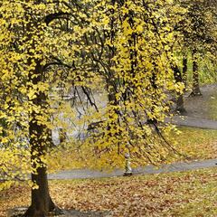 Equinoccio de otoño 2021: qué es, cuándo se produce y cuáles son los rituales en el hemisferio norte