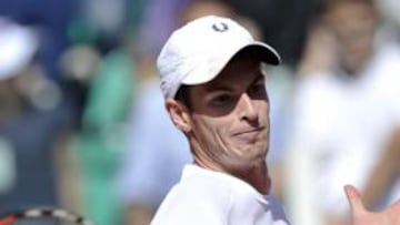 Murray superará a Djokovic en el ranking de la ATP
