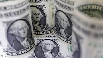 El dólar estadounidense amanece sin cambios considerables y se mantiene estable. Conoce cuál es su precio hoy, martes 5 de diciembre.