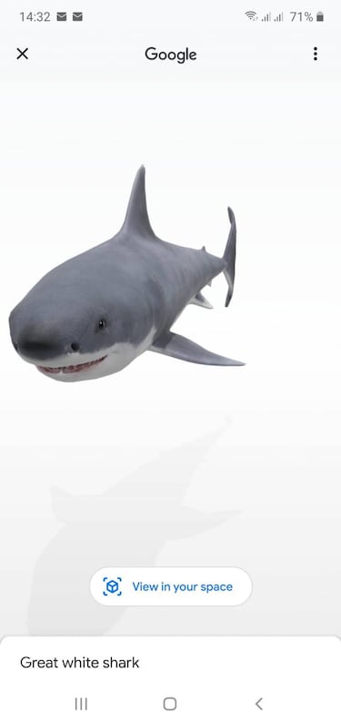 Abre la app de Google, busca ‘Tiburón’ y verás que pasa: Animales 3D de Google