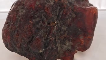 Tras su fallecimiento en 1991, el hombre heredó la propiedad, y notó que la “roca” podía ser valiosa, por lo que decidió tasarla y descubrió su valor real.