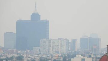 Día Mundial de las Ciudades: conciencia sobre el cambio climático