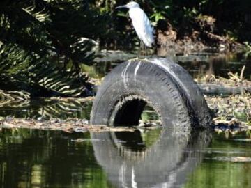 Así están las aguas de Río a pocos días de los JJ.OO.