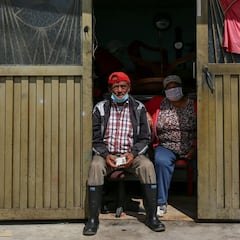 Ingreso Solidario: qué hacer si tengo pagos pendientes y cuándo los recibiré
