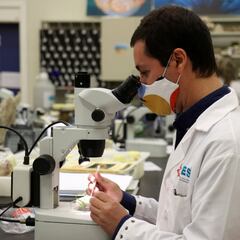 El positivo de personas vacunadas descubre la realidad de la COVID-19