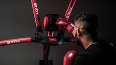 Entrena a lo Rocky Balboa en casa con este robot