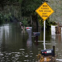 Video of alligator in Florida floodwaters