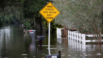 Video of alligator in Florida floodwaters