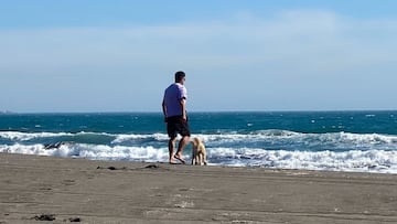 El drama de un goleador del fútbol chileno: “Es difícil que siga jugando; es injusto”