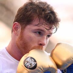 FIB despoja al ‘Canelo’ del título Supermediano