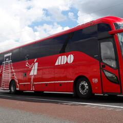 Turitour de CDMX a Oaxaca: qué es, costos, paquete y programa completo