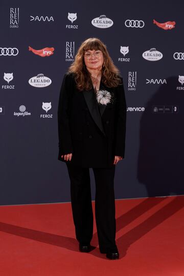 La directora de cine Isabel Coixet posa en la alfombra roja de la XI edición de los Premios Feroz.