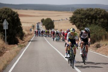 Fotografía del pelotón, durante la 11ª etapa de la Vuelta Ciclista a España 2023, entre Lerma y la Laguna Negra de Vinuesa (Castilla y León).