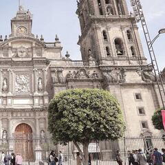 Iglesia católica pide responsabilidad a feligreses por semáforo verde