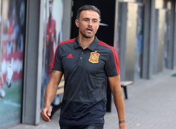 Spain coach Luis Enrique in Las Rozas today.