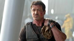 Before becoming a successful actor, Sylvester Stallone was broke and had to clean lion cages: “I couldn’t take it anymore”