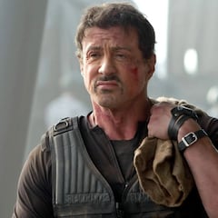 Before becoming a successful actor, Sylvester Stallone was broke and had to clean lion cages: “I couldn’t take it anymore”