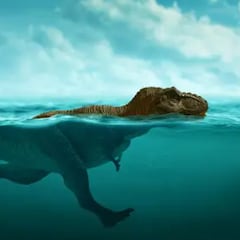 Hallazgo histórico en Guadalajara