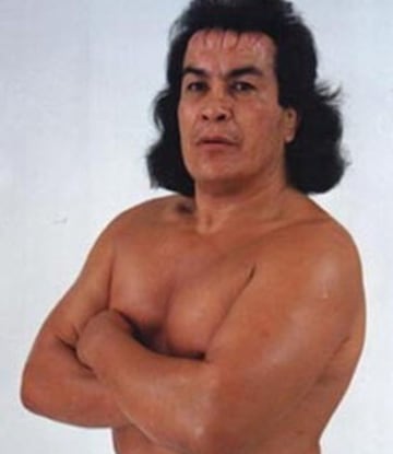 Pedro Aguayo Damián, también conocido como El Can de Nochistlan. Fue luchador olímpico por 10 años y luego se convirtió en profesional. Su mote se debe a que cuando tomaba a su presa en el ring, difícilmente la soltaba. Debutó en 1970, vestido simplemente con un chaleco y botas, simulando ser de pelo de perro y un calzón negro. Se retiró en 2001 en la pela denominada “El Juicio Final”, donde se midió contra Universo 2000 en un combate mascara vs. cabellera. Tras tres caídas, Pedro "Perro" Aguayo se despedía de la afición perdiendo su melena.