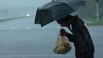 In anticipation of Hurricane Milton’s arrival and the impending danger the storm poses, here are emergency resources available in the state of Florida