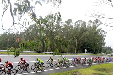 El pelotón durante la carrera.