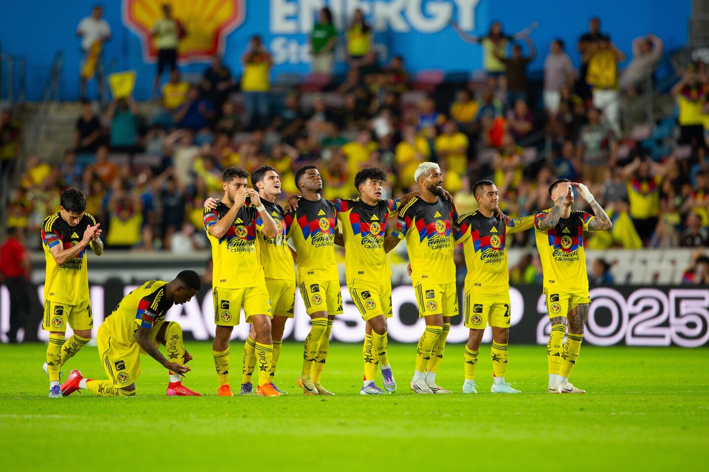 Jasmine aurora porn tough to get in contact with but if you