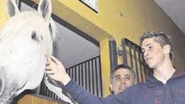 <b>EL NIÑO SALUDÓ A IMPERIOSO</b>. Imperioso, el ilustre caballo de Jesús Gil, fue uno de los grandes protagonistas de la jornada de convivencia de la plantilla rojiblanca en Valdeolivas. Fernando Torres, junto al doctor José María Villalón, se acercó a saludarle y, después, siguieron su ejemplo dos recién llegados como Maxi y Kezman, a los que se les explicó la importancia que ha adquirido Imperioso en el ideario rojiblanco. A sus 26 años y tras varias enfermedades, el caballo se mantiene en buena forma. La de ayer fue la primera visita de los jugadores a la finca de la familia Gil desde hace ocho años, y la jornada estuvo marcada por el recuerdo del fallecido y añorado presidente.