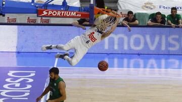 15/04/17 BALONCESTO PARTIDO ENDESA ACB
REAL MADRID - REAL BETIS ENERGIA PLUS
ANDRES NOCIONI