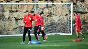Barreiro y Molina ser¨¢n titulares.