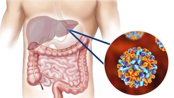 ¿Cómo funcionan las vacunas contra la hepatitis? Eficacia y dónde la aplican