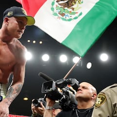How much money has Canelo Álvarez earned in his career?