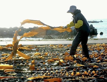 Preocupación de los científicos ante el comportamiento del océano: “Ni siquiera sé si ‘sorprendido’ es la palabra correcta”