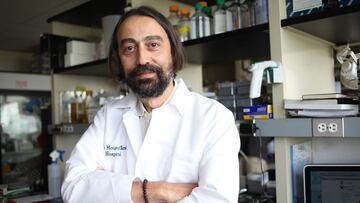 García-Sastre: "La normalidad volverá si la vacuna es efectiva"