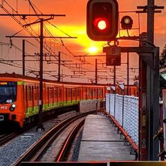 ¡Querido México! Traducen estaciones de Metro en la CDMX al inglés