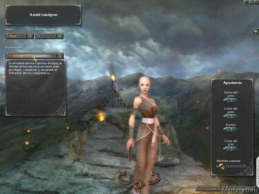 Guild Wars, Impresiones