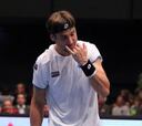 Ferrer cae en la final de Viena