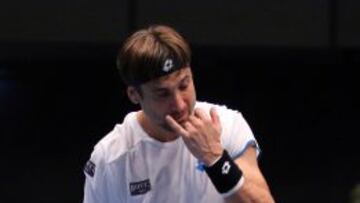 Ferrer cae en la final de Viena