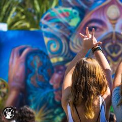 10 curiosidades que debes de saber del Vive Latino