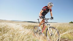 Organización posterga el Acequias Paradise Forest Festival