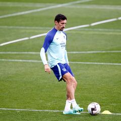 Se calienta la vía árabe para Savic