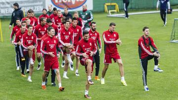 Los futbolistas de la selección húngara.