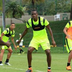 ¿Cuánto dinero recibiría Cali por la venta de Lucumí a Bologna?