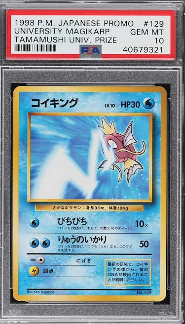 Tamamushi University Magikarp