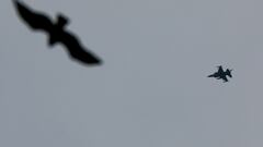 Putin won’t attack NATO countries but says he will shoot down F-16s: which countries use them?