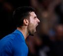 Djokovic, a un paso de su séptimo título en París