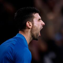 Djokovic, a un paso de su séptimo título en París