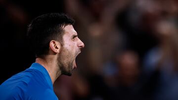 Djokovic, a un paso de su s¨¦ptimo t¨ªtulo en Par¨ªs
